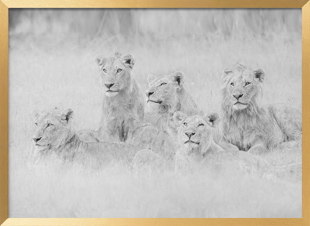 Brothers in A Little Rain Poster